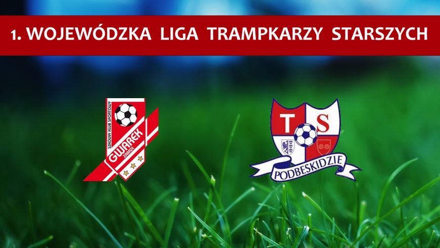 GWAREK Zabrze - Podbeskidzie Bielsko-Biała 2-2