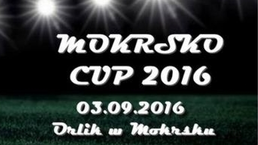 Turniej Dzikich Drużyn w piłkę nożną - Mokrsko Cup 2016!