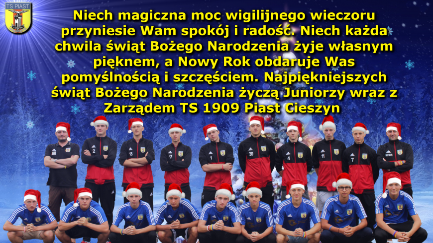 Wesołych Świąt !!!