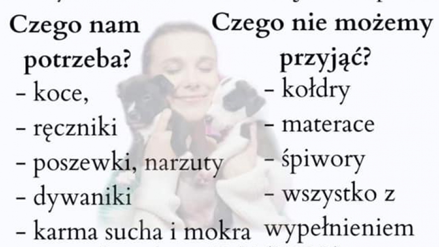 Zbiórka dla schroniska PROMYK :)